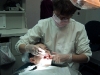 dentist[1].jpg